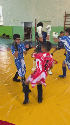 20260712-144253-380e0197-7641-4dec-ae0e-018c6cb7afe4.384.pic.gif