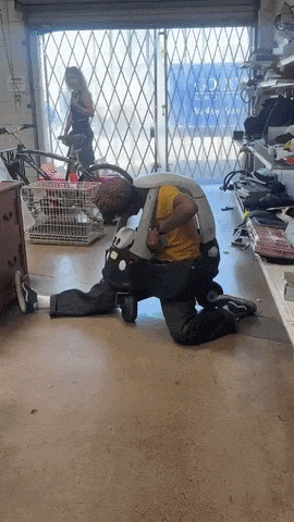 20260719-085916-d8b22b93-8b02-4e63-ab1f-05a528daf7d6.384.pic.gif