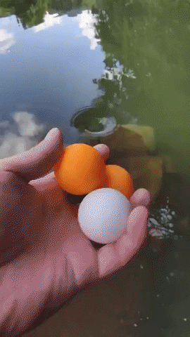 20260824-131258-f866c99a-6411-4cf0-a551-ea8b112cc094.384.pic.gif