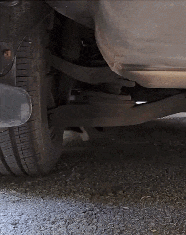 20260824-134014-bfb86348-db37-4131-9668-d0dfd9735d67.384.pic.gif
