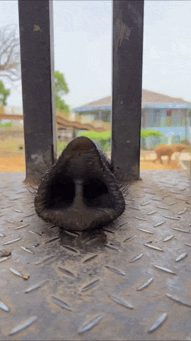 https://rehost.diberie.com/Uploads/384/20260913-133140-ad98516f-8161-4bd0-994e-e49b2ff8b749.384.pic.gif