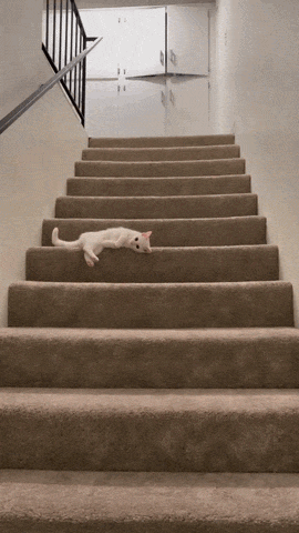 https://rehost.diberie.com/Uploads/384/20260927-173214-4d4fff40-d2d6-46dd-88f8-1ea81308fb3d.384.pic.gif